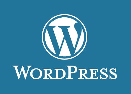 When a project needs more content control, I turn to WordPress for flexibility and ease of use.